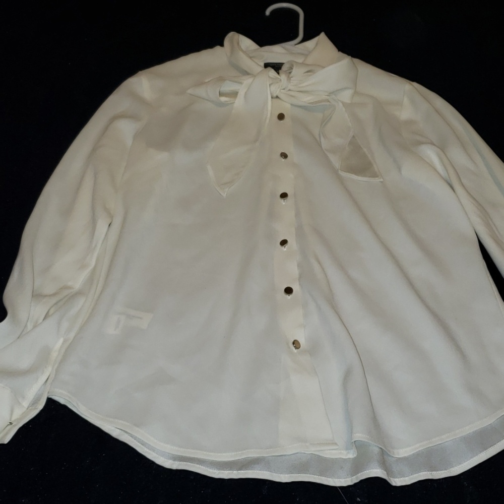 Ann taylor petite shirt